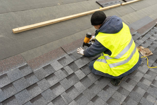 Best Metal Roofing Contractor  in Black Forest, CO