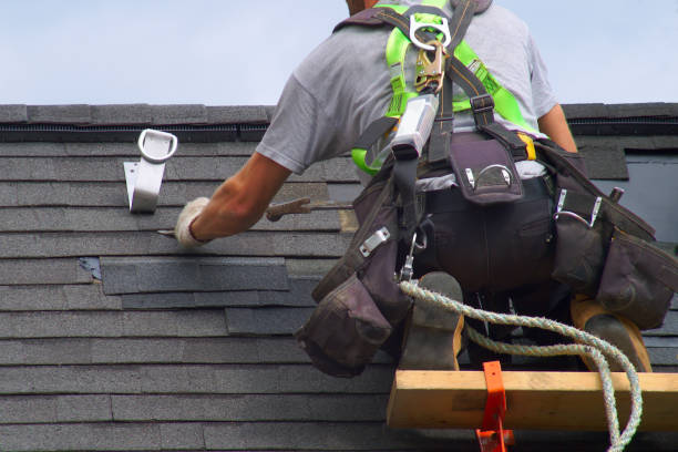 Roof Gutter Cleaning in Black Forest, CO