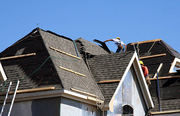 Best Roof Replacement Cost  in Black Forest, CO