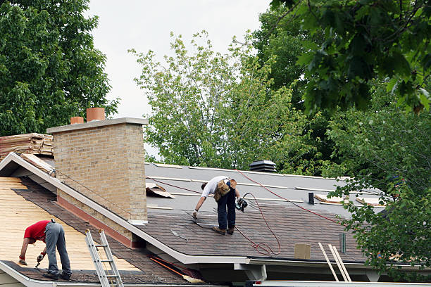 Best Roof Gutter Cleaning  in Black Forest, CO